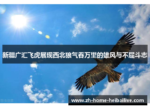 新疆广汇飞虎展现西北狼气吞万里的雄风与不屈斗志