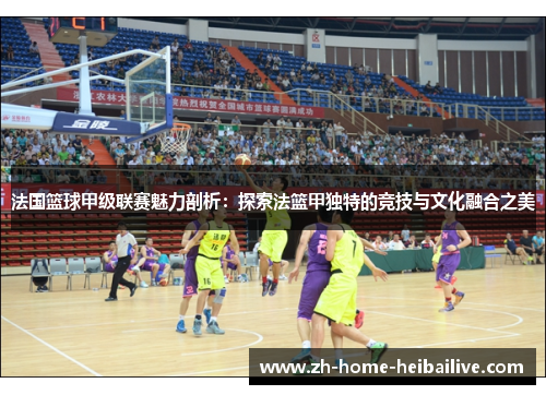 法国篮球甲级联赛魅力剖析：探索法篮甲独特的竞技与文化融合之美