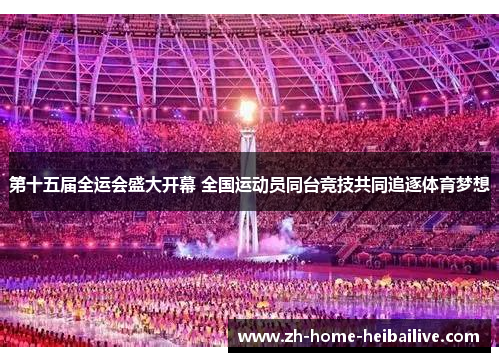 第十五届全运会盛大开幕 全国运动员同台竞技共同追逐体育梦想