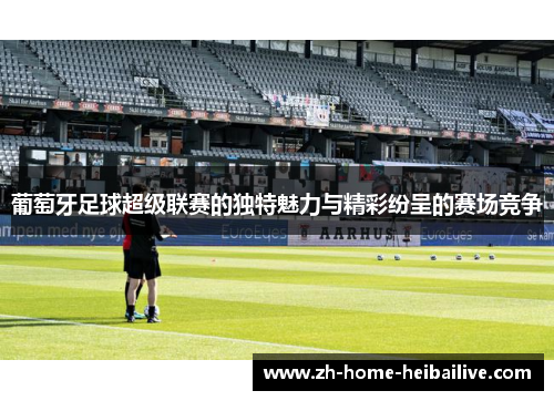 葡萄牙足球超级联赛的独特魅力与精彩纷呈的赛场竞争