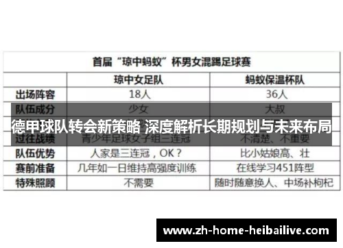 德甲球队转会新策略 深度解析长期规划与未来布局